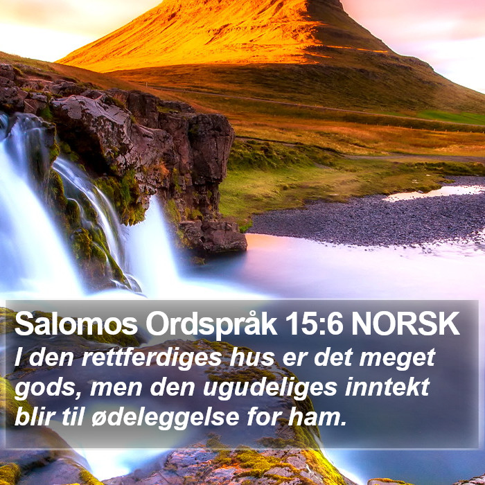 Salomos Ordspråk 15:6 NORSK Bible Study