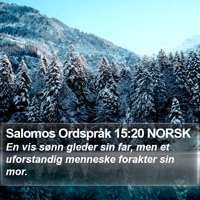 Salomos Ordspråk 15:20 NORSK Bible Study
