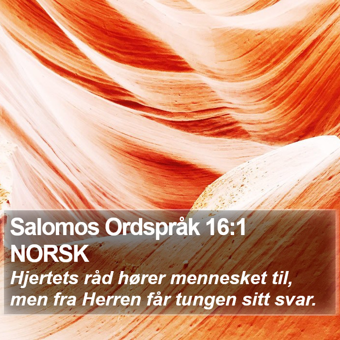 Salomos Ordspråk 16:1 NORSK Bible Study