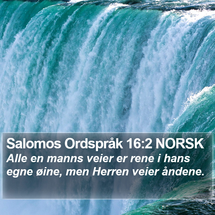 Salomos Ordspråk 16:2 NORSK Bible Study