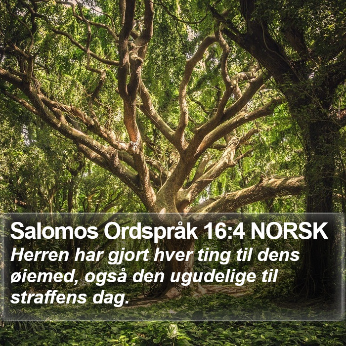 Salomos Ordspråk 16:4 NORSK Bible Study