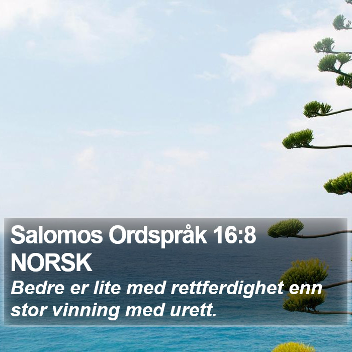 Salomos Ordspråk 16:8 NORSK Bible Study