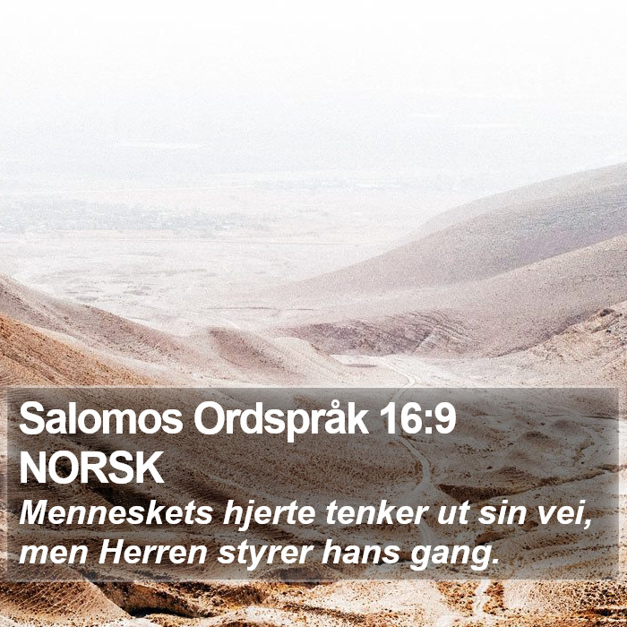 Salomos Ordspråk 16:9 NORSK Bible Study