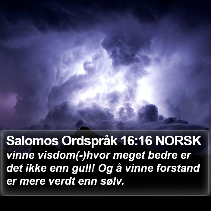 Salomos Ordspråk 16:16 NORSK Bible Study