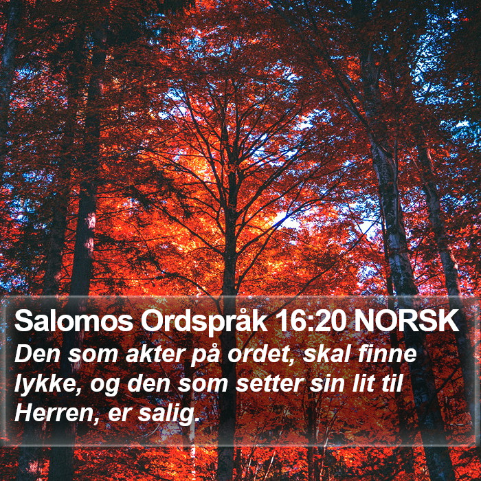 Salomos Ordspråk 16:20 NORSK Bible Study