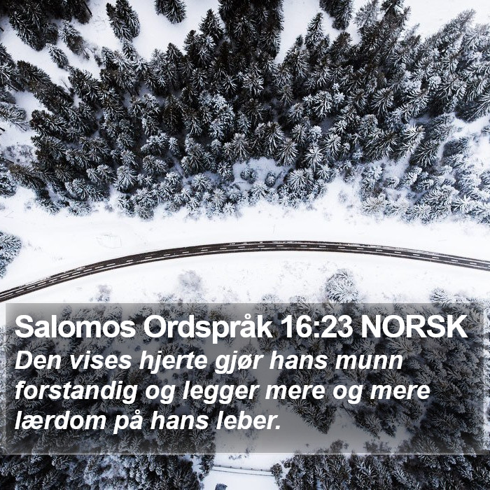 Salomos Ordspråk 16:23 NORSK Bible Study