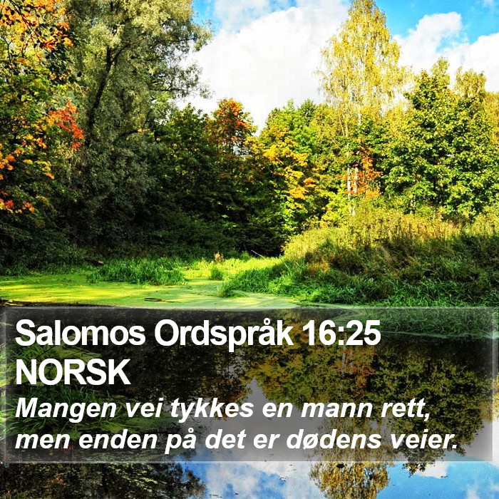 Salomos Ordspråk 16:25 NORSK Bible Study