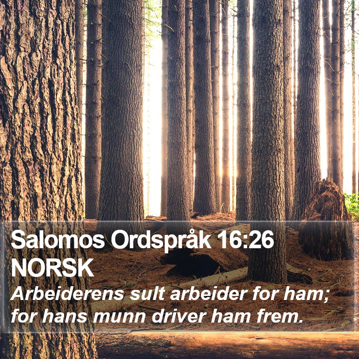 Salomos Ordspråk 16:26 NORSK Bible Study