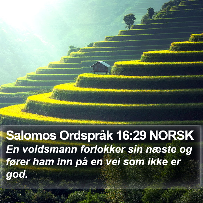 Salomos Ordspråk 16:29 NORSK Bible Study