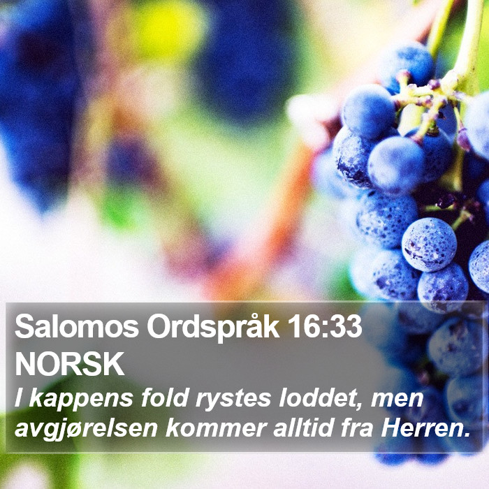 Salomos Ordspråk 16:33 NORSK Bible Study