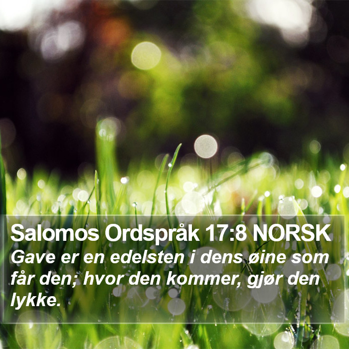 Salomos Ordspråk 17:8 NORSK Bible Study