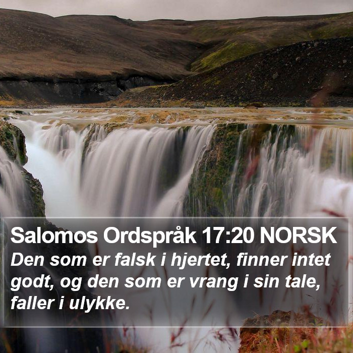 Salomos Ordspråk 17:20 NORSK Bible Study