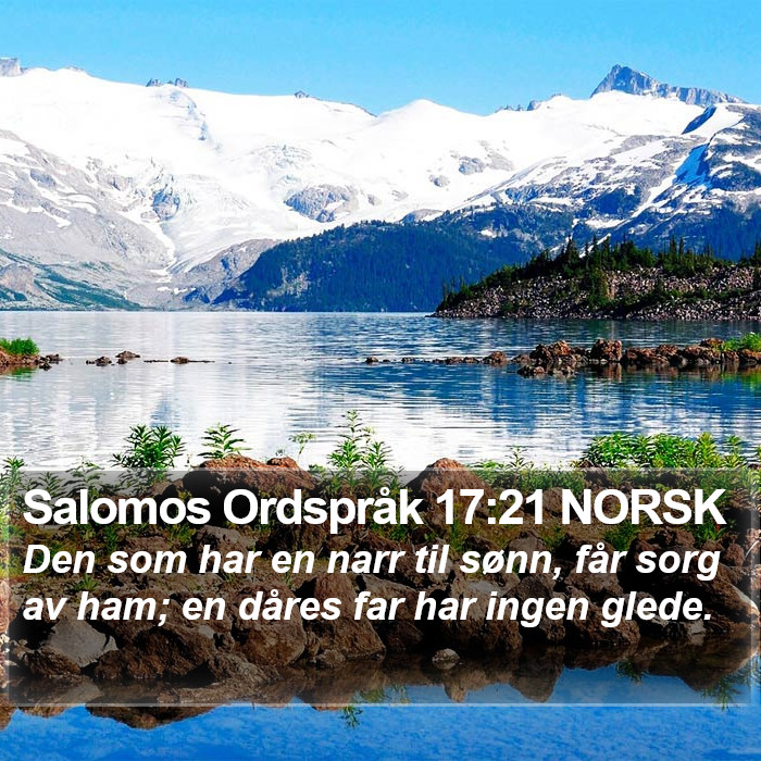 Salomos Ordspråk 17:21 NORSK Bible Study