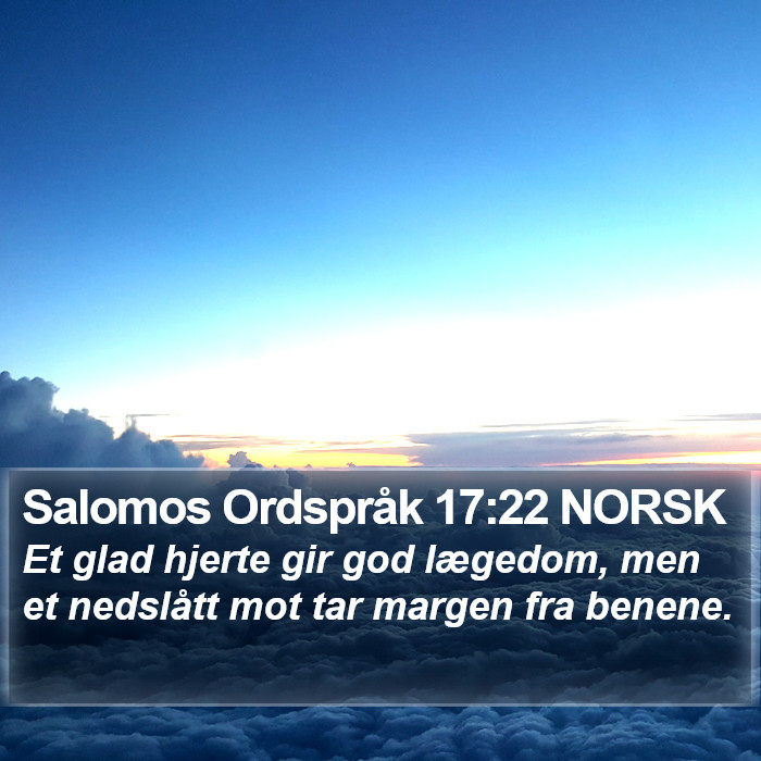 Salomos Ordspråk 17:22 NORSK Bible Study