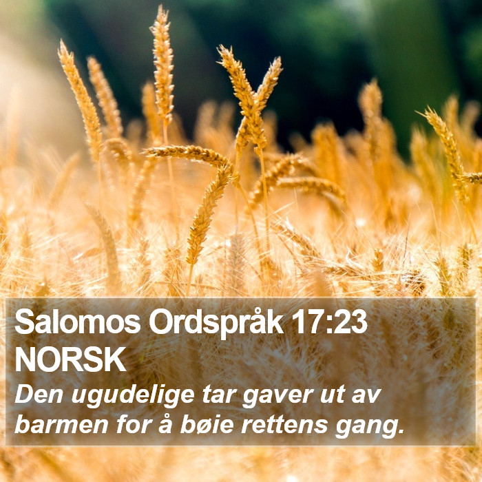 Salomos Ordspråk 17:23 NORSK Bible Study