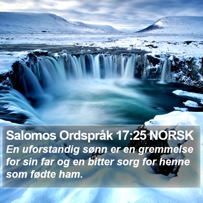 Salomos Ordspråk 17:25 NORSK Bible Study