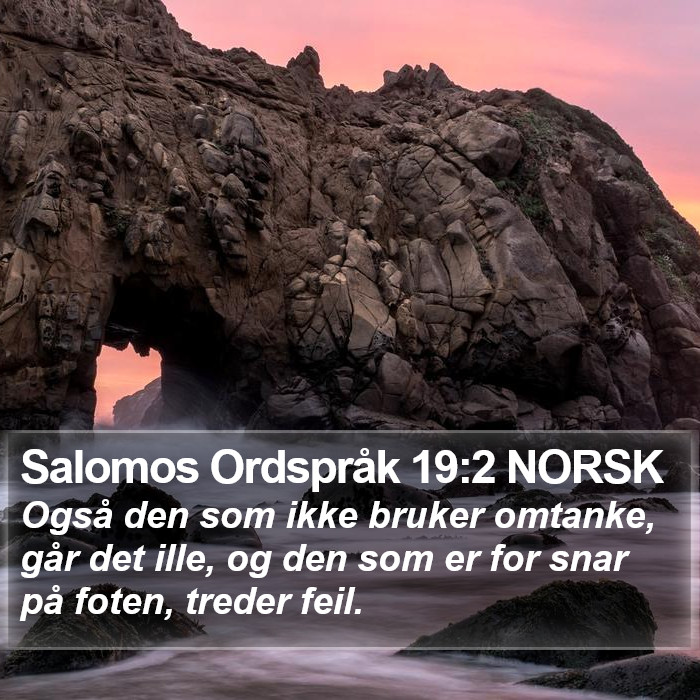 Salomos Ordspråk 19:2 NORSK Bible Study