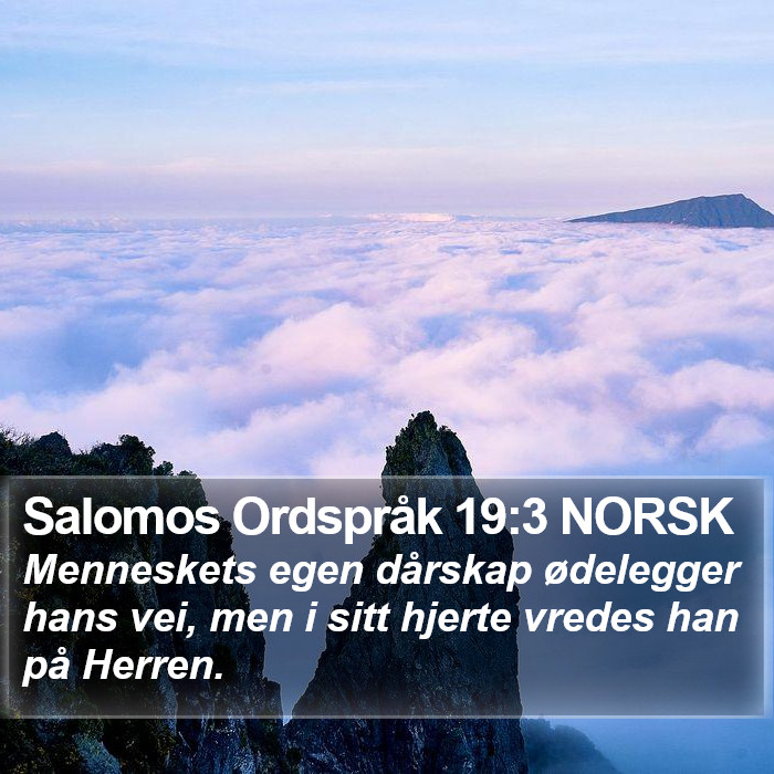 Salomos Ordspråk 19:3 NORSK Bible Study