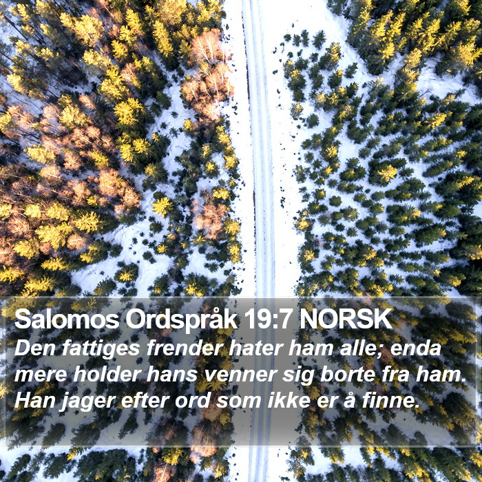 Salomos Ordspråk 19:7 NORSK Bible Study