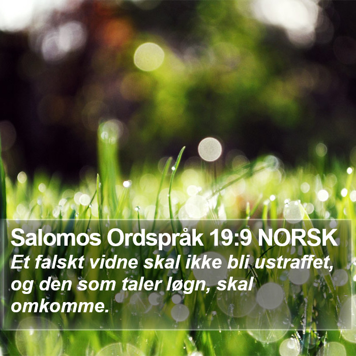 Salomos Ordspråk 19:9 NORSK Bible Study