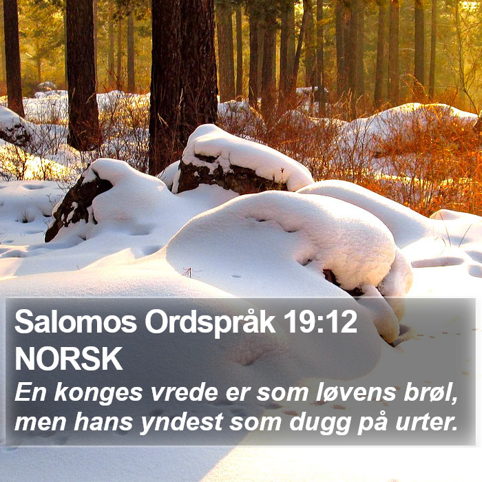 Salomos Ordspråk 19:12 NORSK Bible Study