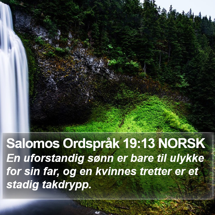 Salomos Ordspråk 19:13 NORSK Bible Study