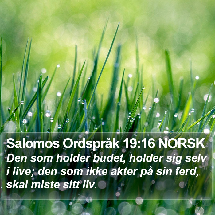 Salomos Ordspråk 19:16 NORSK Bible Study