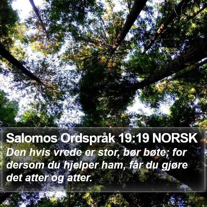 Salomos Ordspråk 19:19 NORSK Bible Study