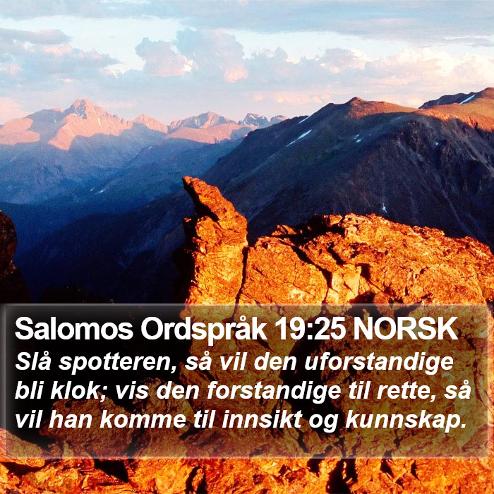 Salomos Ordspråk 19:25 NORSK Bible Study