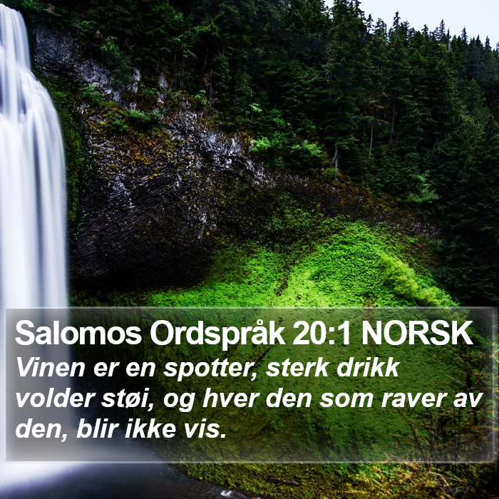Salomos Ordspråk 20:1 NORSK Bible Study