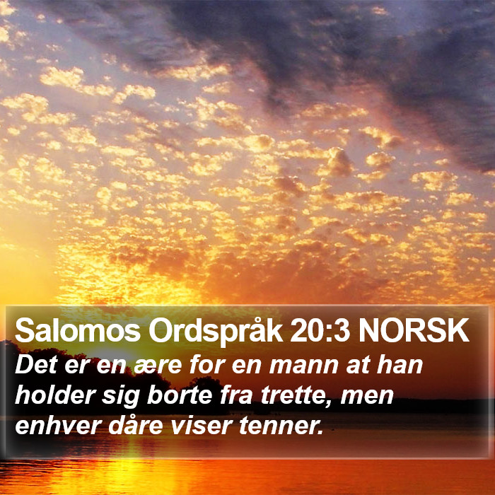 Salomos Ordspråk 20:3 NORSK Bible Study