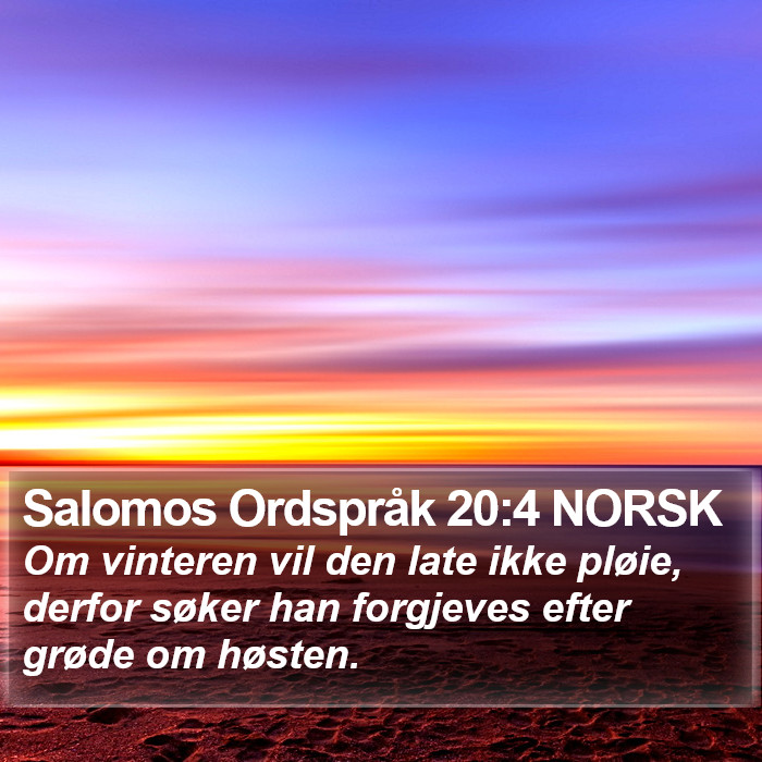 Salomos Ordspråk 20:4 NORSK Bible Study