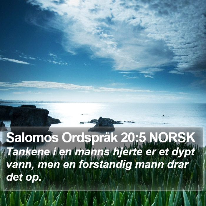Salomos Ordspråk 20:5 NORSK Bible Study
