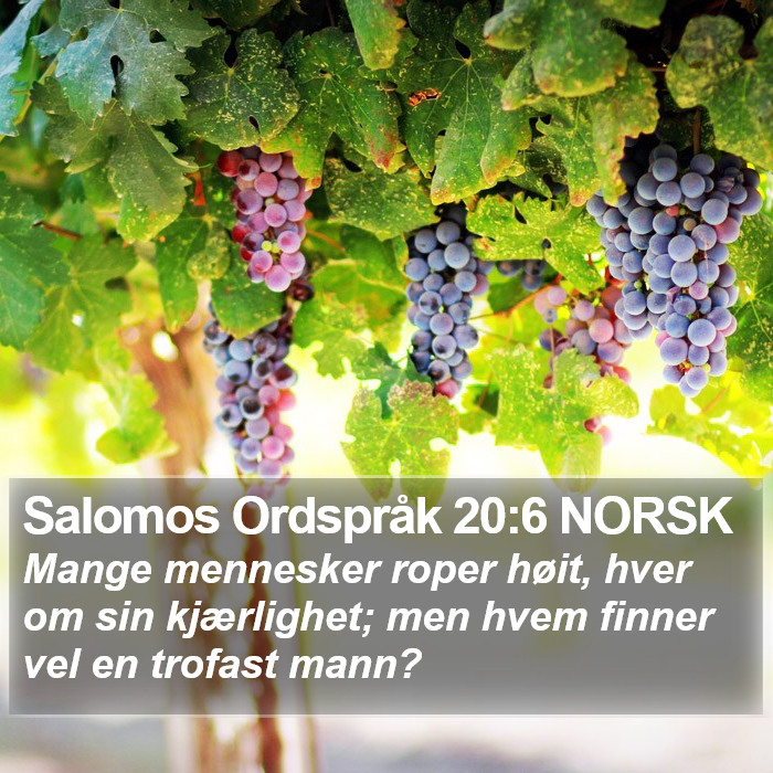 Salomos Ordspråk 20:6 NORSK Bible Study
