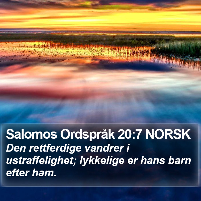 Salomos Ordspråk 20:7 NORSK Bible Study