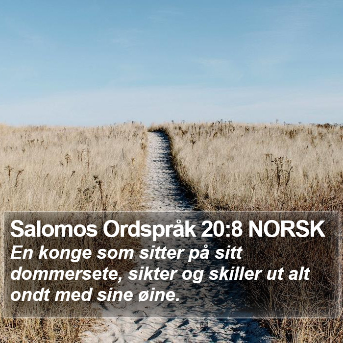 Salomos Ordspråk 20:8 NORSK Bible Study