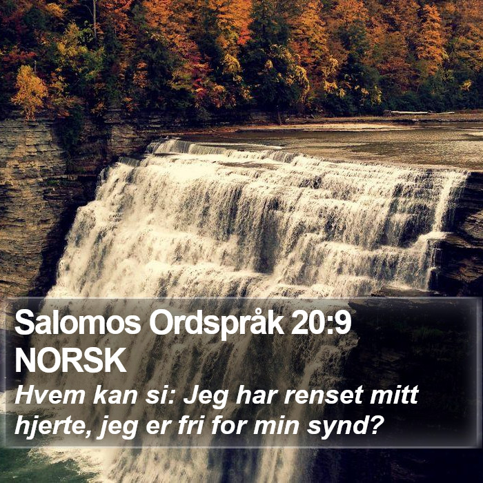 Salomos Ordspråk 20:9 NORSK Bible Study