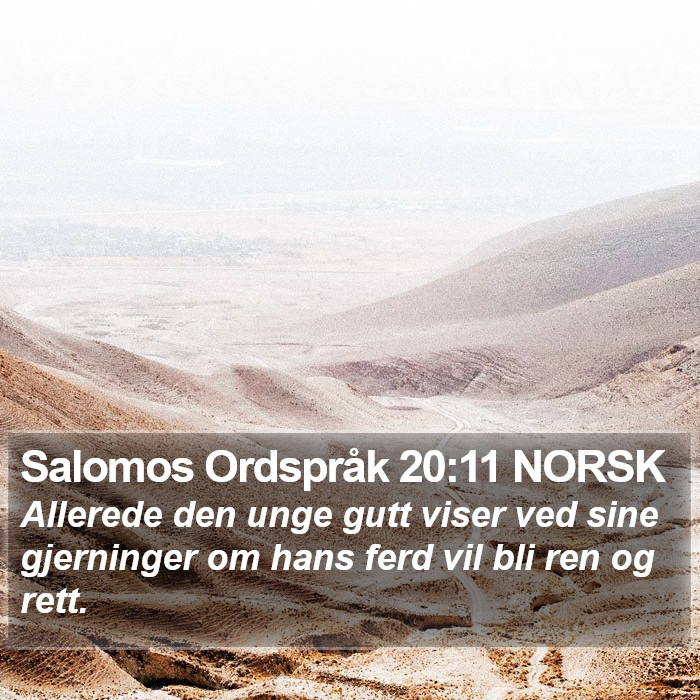 Salomos Ordspråk 20:11 NORSK Bible Study
