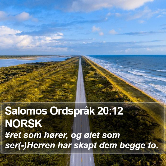 Salomos Ordspråk 20:12 NORSK Bible Study