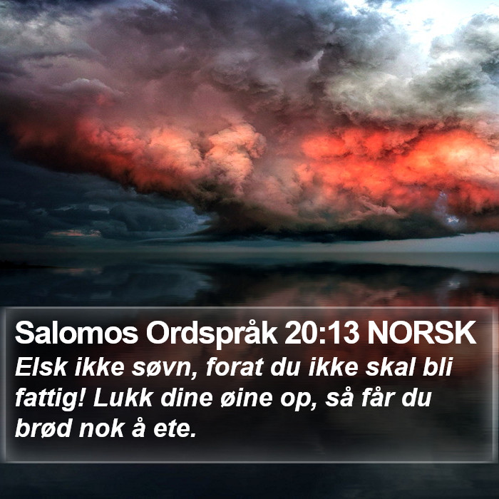 Salomos Ordspråk 20:13 NORSK Bible Study
