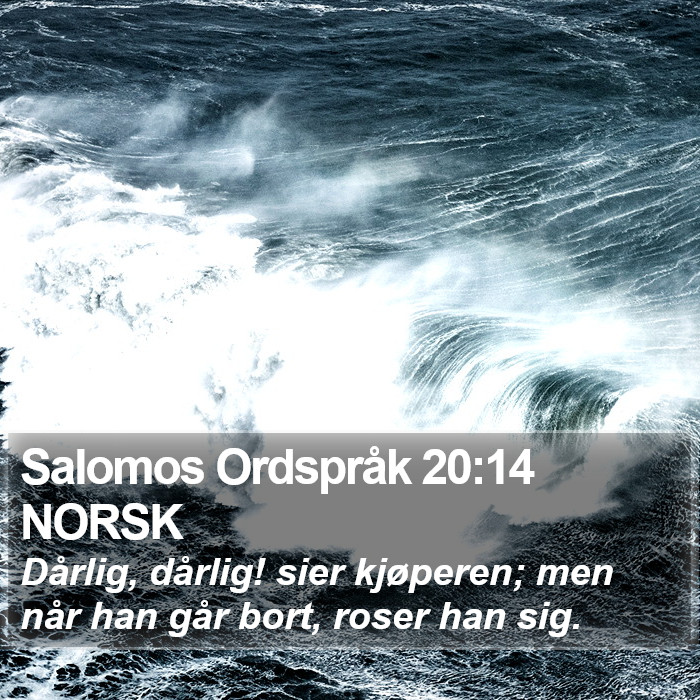 Salomos Ordspråk 20:14 NORSK Bible Study
