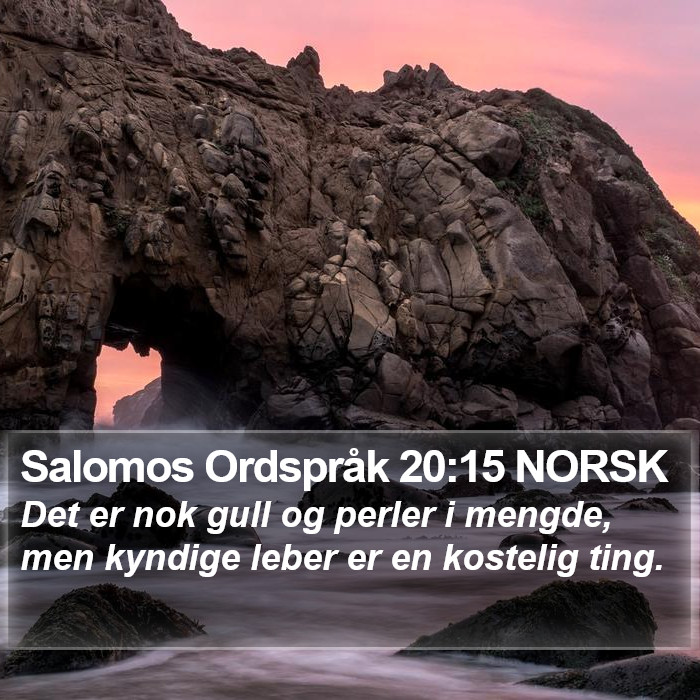 Salomos Ordspråk 20:15 NORSK Bible Study