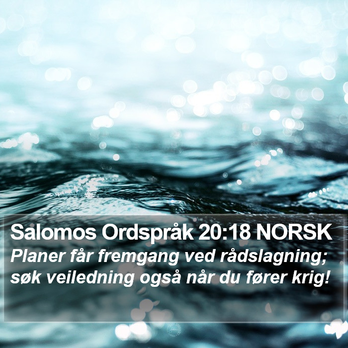 Salomos Ordspråk 20:18 NORSK Bible Study