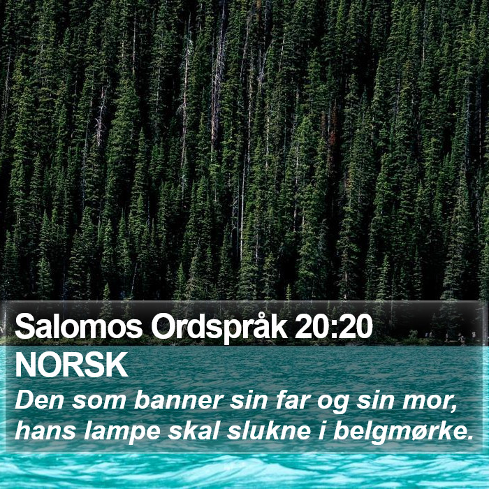 Salomos Ordspråk 20:20 NORSK Bible Study
