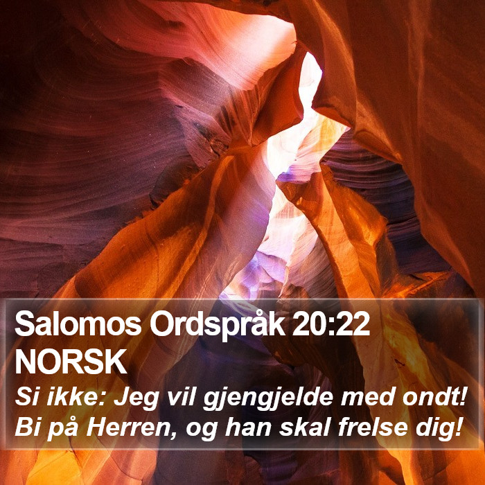 Salomos Ordspråk 20:22 NORSK Bible Study