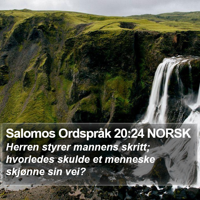 Salomos Ordspråk 20:24 NORSK Bible Study