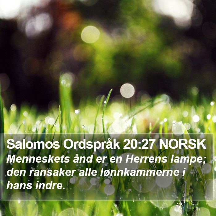 Salomos Ordspråk 20:27 NORSK Bible Study