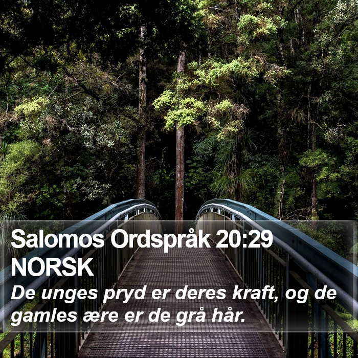 Salomos Ordspråk 20:29 NORSK Bible Study