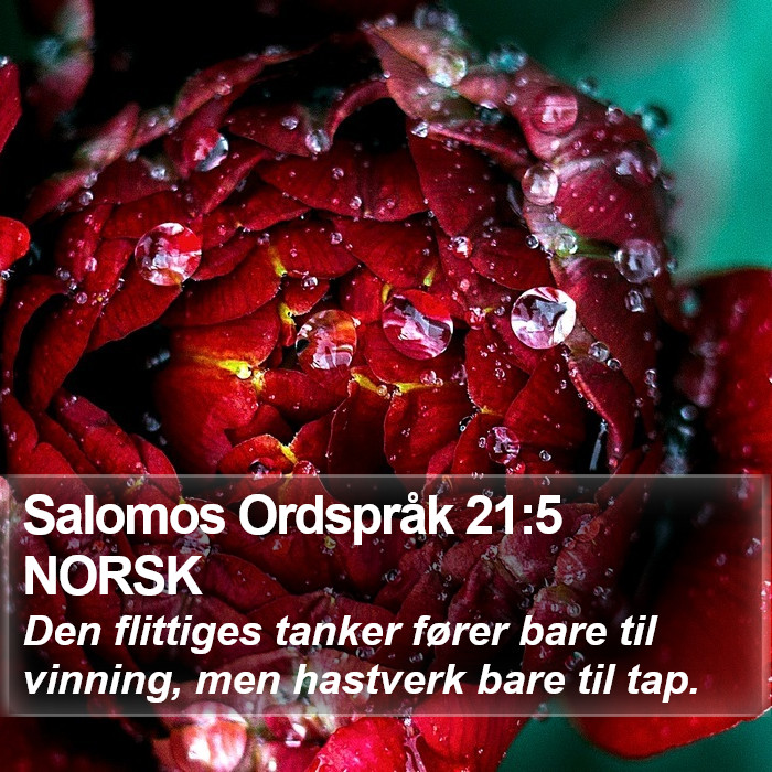 Salomos Ordspråk 21:5 NORSK Bible Study