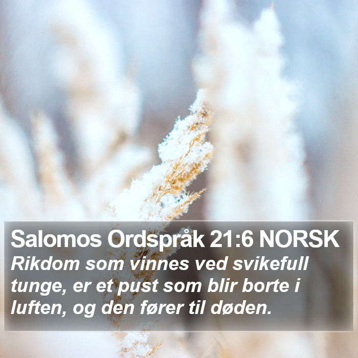 Salomos Ordspråk 21:6 NORSK Bible Study